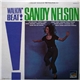 Sandy Nelson - Walkin' Beat