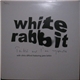 White Rabbit With Chris Difford Featuring Jane Birkin - Take Me I'm Yours