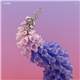 Flume - Skin