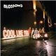 Blossoms - Cool Like You